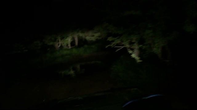 Ночное сафари смотреть онлайн