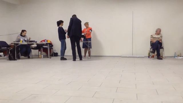 Моно цвергпинчеров, 17.01.2015 - кобели победители смотреть онлайн