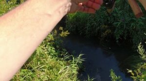 #031 #Мормышинг Лещ и плотва на микро речке