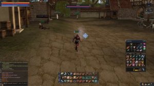 Lineage 2: Interlude-online - Гайд паладин