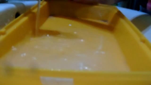 Уборка в клетке песчанки! #Зверополис смотреть онлайн