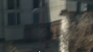 ЧЕМ ЗАНЯТЬСЯ ПОСЛЕ ПРОХОЖДЕНИЯ СЮЖЕТА DYING LIGHT 2 STAY HUMAN?