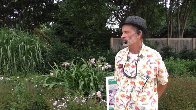 "All Abuzz: Plants for Pollinators and Caterpillars" смотреть онлайн