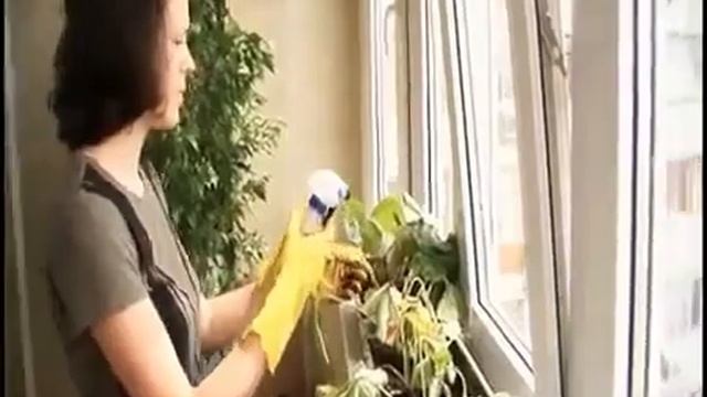 Среда обитания   Работа на дому смотреть онлайн