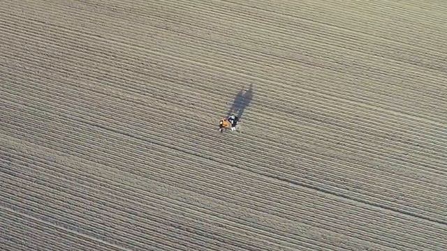 Бандура и Баян