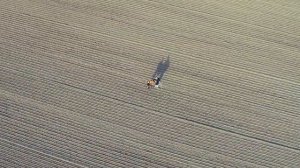 Бандура и Баян