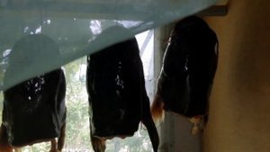 Головы Сома Горячего Копчения/Как Закоптить Рыбу/Отличная Закуска к Пиву/Просто, Дешево и Вкусно