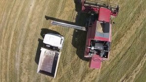 ПАЛЕССЕ GS575 - новый комбайн Гомсельмаш