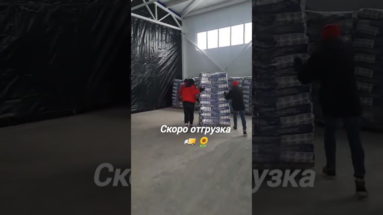 #гибриды #подсолнечник #регионзащитырастений #семенаподсолнечника #аграрии