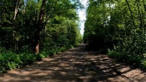 Малый Лужский каньон, река Луга и озера Лужской области