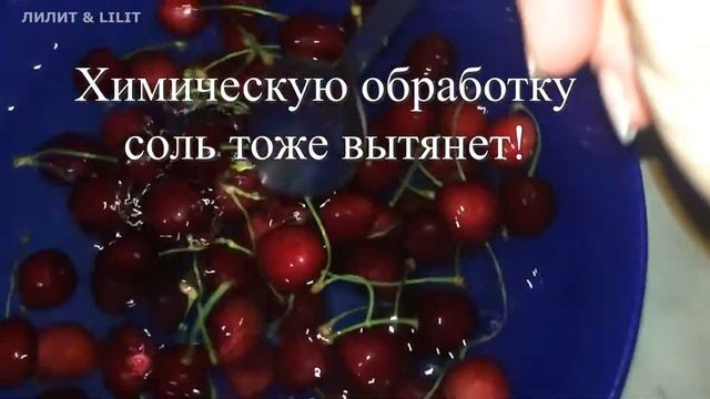 Как избавиться от червей и букашек в ягодах и фруктах. Полезные советы. смотреть онлайн