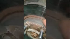 Почему пищат колодки