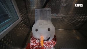 Двери Snegir Cottage от Torex на испытаниях