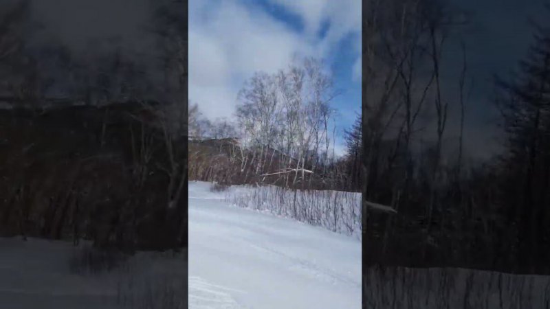 Cross-country skiing.  Sakhalin