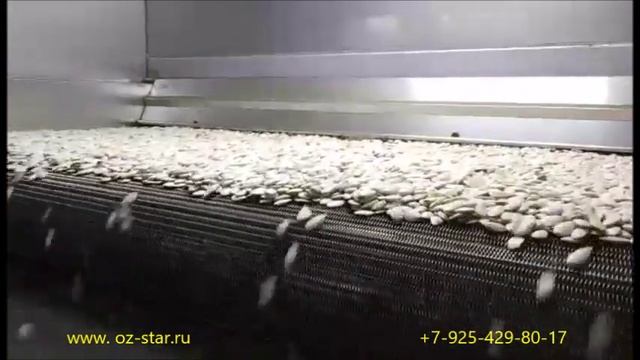 OS 500 черная - тыквенная семечка смотреть онлайн