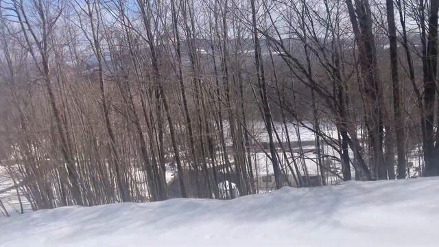 Попугай Жако Полина Ивановна. Уважает Снег🤣Очень Любопытная ❤️ смотреть онлайн