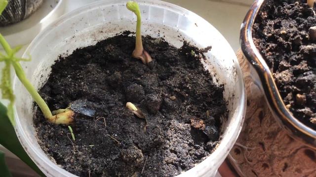 Неожиданное солнце смотреть онлайн