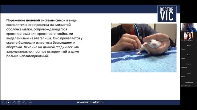 09 08 «Лечение респираторного синдрома у крыс и мышевидных грызунов»