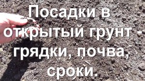 62 Плодородие грядок - почва, сроки, особенности посадок!