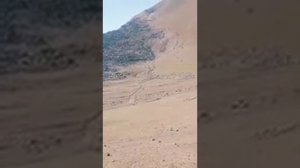 сари агба п боло
