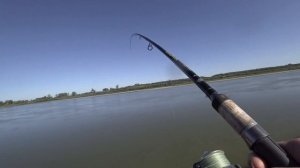 ЭТО БЫЛ САЗАН! Как не надо рыбачить на сазана. Рыбалка с ночевкой на Оби.