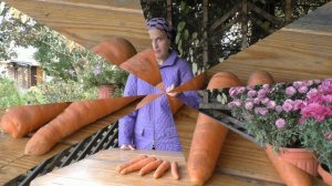 Как сохранить морковь до весны