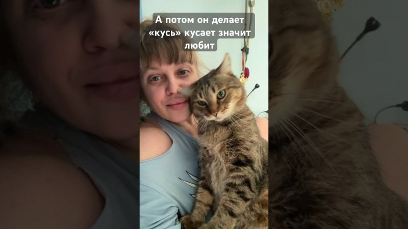 Зачем Кусает кот? Продолжение#cat#cats#vlog#catlover