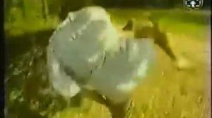 Славяно горицкая борьба CD2