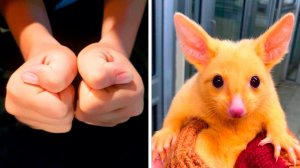 Не поверишь, пока сам не увидишь