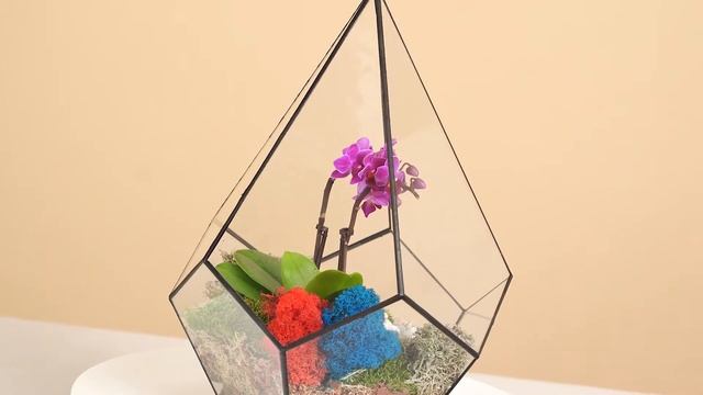 Флорариум - орхидариум, орхидея в стеклянном кашпо, GEO GLASS смотреть онлайн