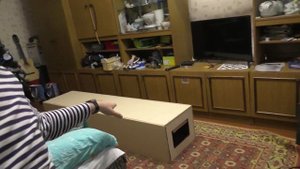 Шум бокс для Асика/ Заказал на Авито
