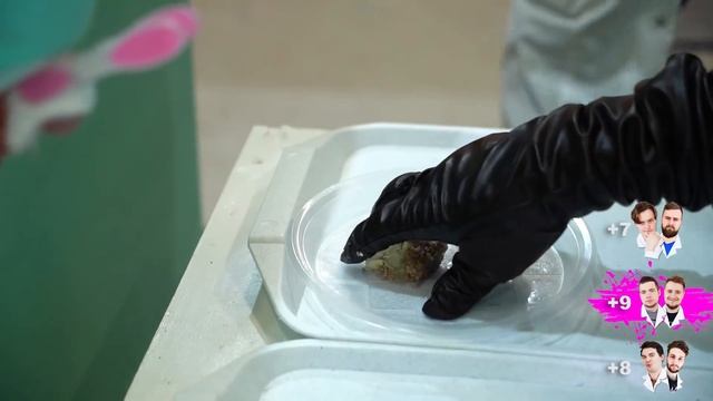 НАКОРМИ ТОВАРИЩА ЗА СТЕНОЙ, ЕДОЙ, КОТОРУЮ МОЖНО ЕСТЬ! смотреть онлайн