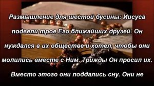 Серия об истине (6 часть из 6) как выглядит ходатайство вместе с Марией?