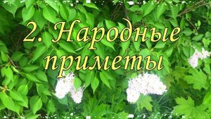 Народные традиции. 28 мая Пахом Теплый