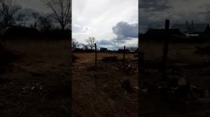 Удаление пней селитрой результат проверим осенью