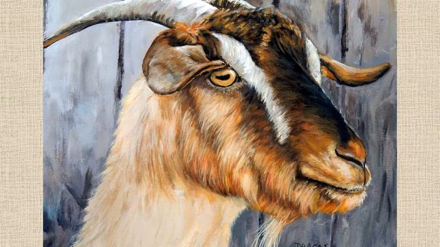 Как щенок узнал, кто всех важнее смотреть онлайн