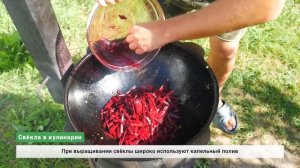 Свёкла - природный допинг / Свекольный сок на экспорт / Зависимость от импорта свёклы