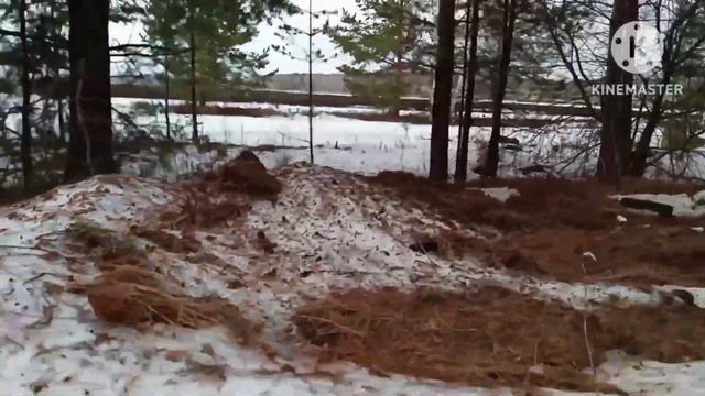 Ранняя весна, прокатился на "Страннике" смотреть онлайн