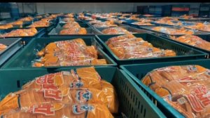 Владимирский хлебокомбинат - место, где работают выпускники МГУПП