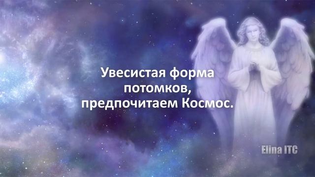 Послания Тонкого Мира ч. 43. Инструментальная транскоммуникация. Мультитрек