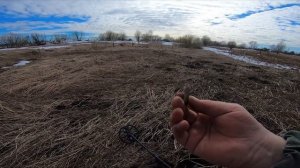 Пятак Екатерины II, копейка Петра I и др. Апрельский супер коп. Архив сезона 2022. #Коп 77.