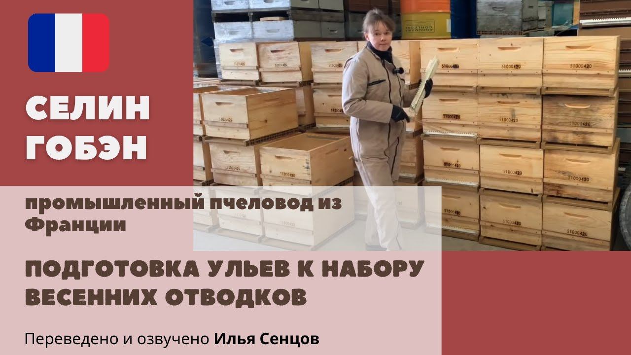 Подготовка ульев к набору весенних отводков (Селин Гобэн, Франция)
