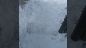 рентген моих сварных швов 76мм газопровод