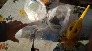 Завелись мыши. Что делать?