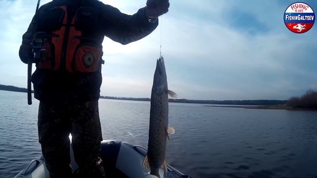 Рыбалка на р. Зея FishinGaltsev смотреть онлайн