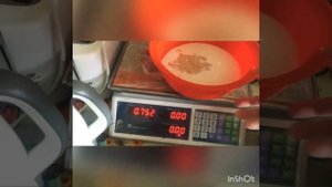 Как начать прикорм козлят. Чем и как можно кормить 2х месячных козлят?