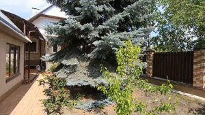 ПРЕОБРАЖЕНИЕ старого двора в ландшафтном дизайне
