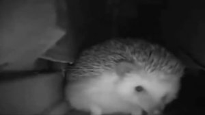 Car Crushers 2 Funny Moments/Memes | Roblox