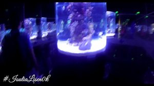 狐 VLOG Antalya part 5. Океанариум Aquarium. Дельфинарий. Поездка в Кемер в DinoPark 狐