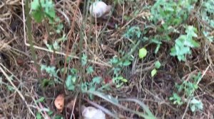 Город Горис. Самый красивейший город Сюника.